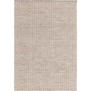 Béžový koberec 200x290 cm Gabrielle – Asiatic Carpets obraz