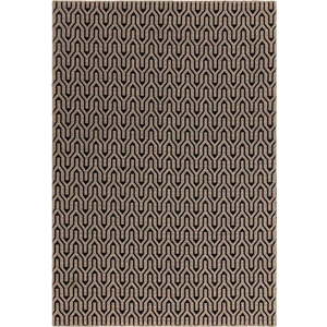 Černo-béžový koberec 200x290 cm Global – Asiatic Carpets obraz