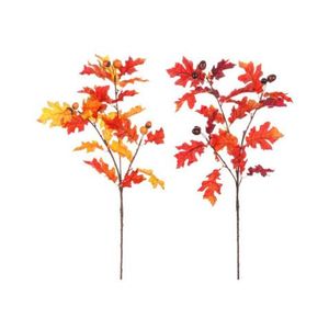 Podzimní větev (2 druhy) Dub s žaludy, oranžová obraz