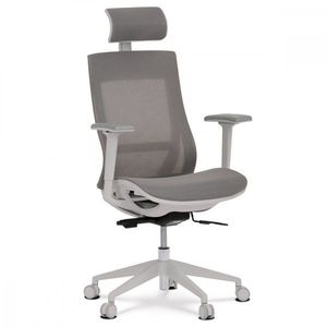Kancelářská židle KA-W004, Kancelářská židle KA-W004 obraz
