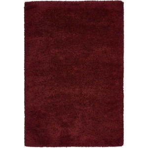 Rubínově červený koberec Think Rugs Sierra, 200 x 290 cm obraz