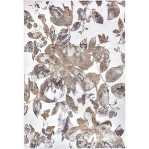 Šedo-hnědý koberec 160x235 cm Shine Floral – Hanse Home obraz