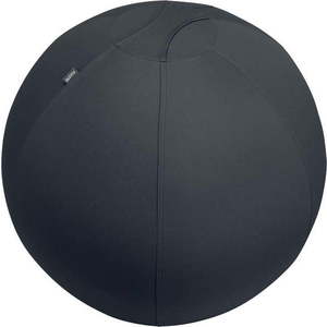 Ergonomický sedací míč se závažím ø 75 cm Ergo – Leitz obraz