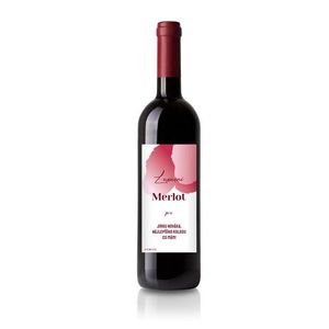 Dárkové víno Merlot s originální etiketou, Červené víno obraz