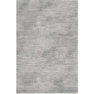 Šedý vlněný koberec 200x300 cm Fam – Agnella obraz