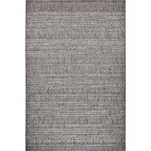 Světle šedý venkovní koberec NORTHRUGS Granado, 80 x 150 cm obraz