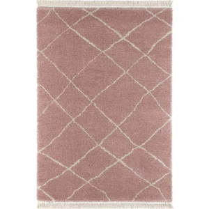 Růžový koberec 120x170 cm Bertha – Hanse Home obraz