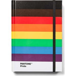 Zápisník Pride – Pantone obraz