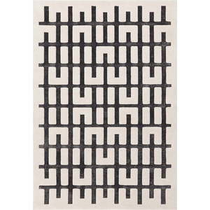 Šedý koberec 120x170 cm Nova – Asiatic Carpets obraz