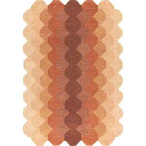 Vlněný koberec v cihlové barvě 200x290 cm Hive – Asiatic Carpets obraz