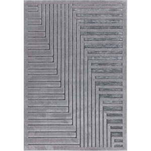 Antracitový koberec 120x170 cm Valley – Asiatic Carpets obraz