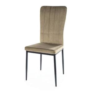 Jídelní židle VAGU olivová/černá obraz