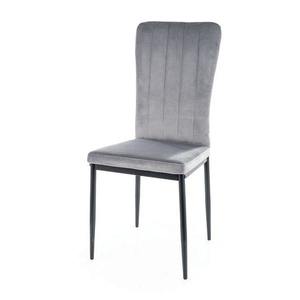 Jídelní židle VAGU šedá/černá obraz