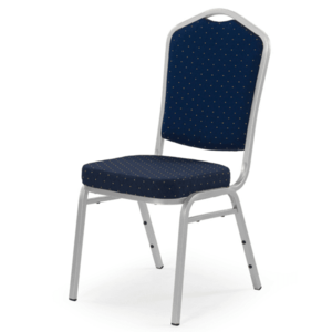 Jídelní židle SCK-66 stříbrná/modrá obraz