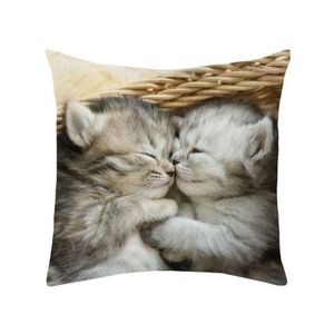 Dekorační polštářek Spící koťata, 25x25 cm obraz