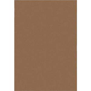 Koňakově hnědý koberec 120x170 cm – Flair Rugs obraz