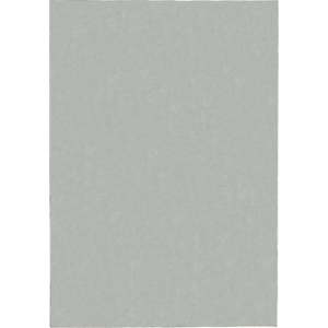 Světle šedý koberec 80x150 cm – Flair Rugs obraz