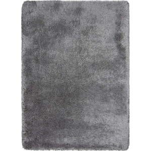 Šedý koberec 200x290 cm – Flair Rugs obraz