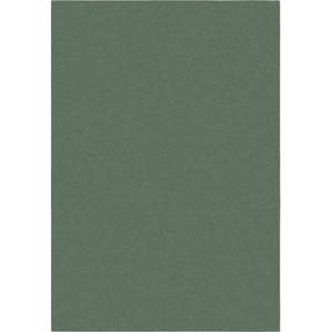 Zelený koberec 80x150 cm – Flair Rugs obraz