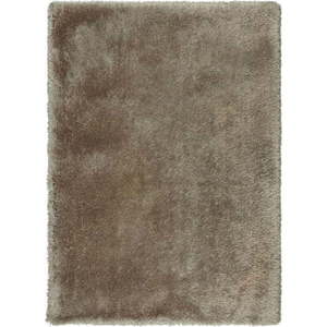 Hnědý koberec 200x290 cm – Flair Rugs obraz