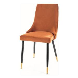 Jídelní židle PAONU 2 skořicová/černá/zlatá obraz
