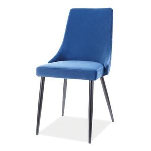 Jídelní židle PAONU modrá/černá obraz