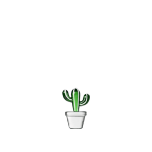 Těžítko kaktus zelený - Ichendorf obraz