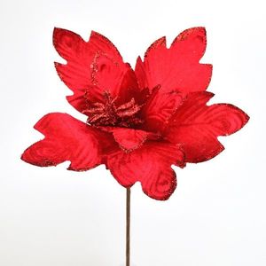 Květ poinsettia červená zápich, pr. 30 cm obraz