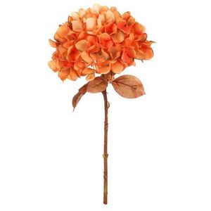 Umělá květina Hortenzie oranžová, 17 x 34 cm obraz