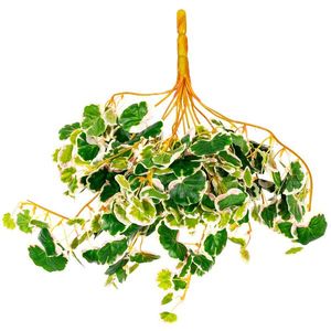 Umělá Saxifraga závěsná dekorativní rostlina, v. 50 cm obraz