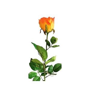 Umělá růže, oranžová, 69 cm obraz