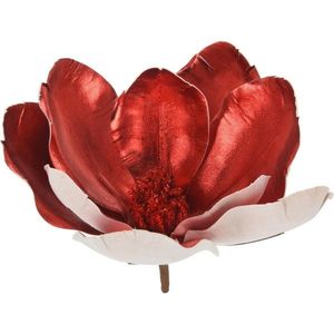 Umělá magnolie na klipu červená, 22 x 20 cm obraz