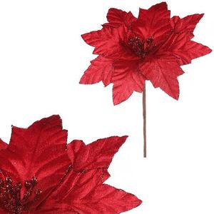 Květ vánoční růže 22 cm, samet, červená obraz