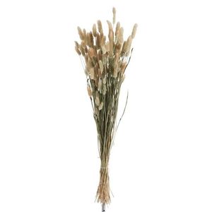 Sušená dekorativní květina Bundle Plume - 16*16*84 cm 2618 obraz