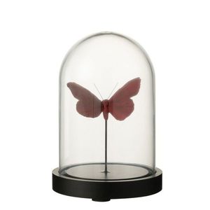 Dekorativní podnos s vínovým motýlkem a skleněným poklopem Butterflies - Ø 11*16cm 37061 obraz