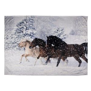 Zimní plyšový pléd s koňmi Horses - 130*170 cm KT060.144 obraz