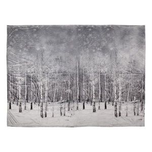 Plyšový pléd se zasněženými stromy - 130*170 cm TIS60 obraz