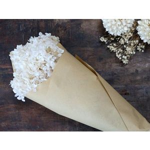 Bílá dekorace sušená květina hortenzie Hydrangea Flower - 60 cm 39041419 (39414-19) obraz