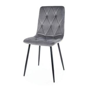 Jídelní židle TUM šedá/černá obraz