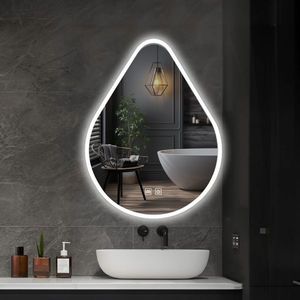 IREDA Koupelnové zrcadlo s LED osvětlením, 100 x 60 cm obraz