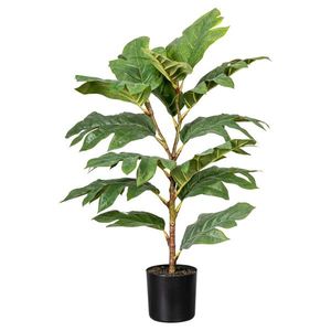 Umělá Rostlina Artocarpus I obraz