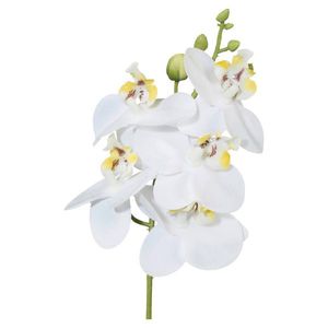 Umělá Rostlina Phalaenopsis, V: 27cm, bílá obraz
