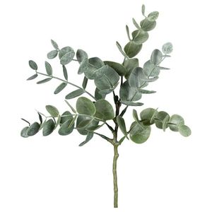 Umělá Rostlina Eucalypthuszweig, v: 26cm, zelená obraz