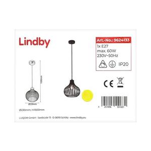 Lindby Lindby - Lustr na lanku FRANCES 1xE27/60W/230V obraz