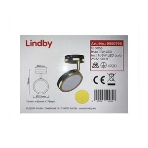 Lindby Lindby - LED Bodové svítidlo 1xG53/6W/230V obraz