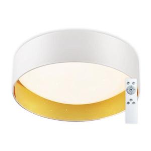 Top Light Top Light - LED Stmívatelné stropní svítidlo LED/24W/230V +dálkové ovládání bílá obraz