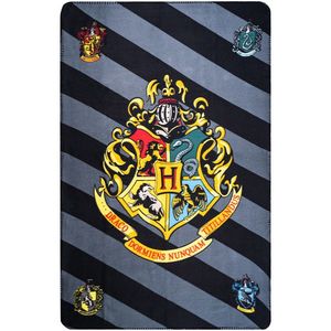 Jerry Fabrics Deka Harry Potter, 100 x 150 cm obraz