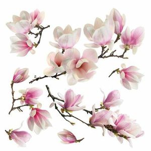 Samolepicí dekorace Magnolia blossom, 30 x 30 cm obraz