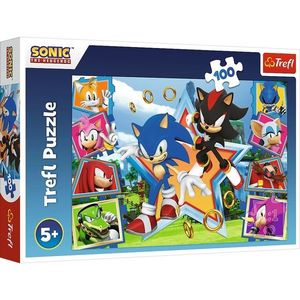 Trefl Puzzle Sonic Seznamte se s ježkem, 100 dílků obraz