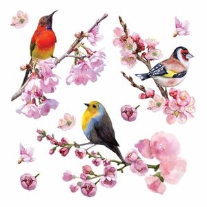 Samolepicí dekorace Birds, 30 x 30 cm obraz